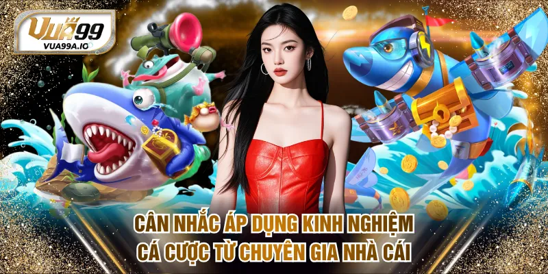 Cân nhắc áp dụng kinh nghiệm cá cược từ chuyên gia nhà cái
